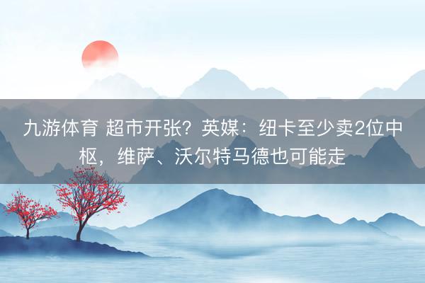 九游体育 超市开张？英媒：纽卡至少卖2位中枢，维萨、沃尔特马德也可能走