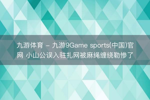 九游体育 - 九游9Game sports(中国)官网 小山公误入驻扎网被麻绳缠绕勒惨了