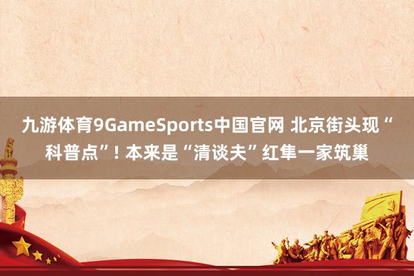 九游体育9GameSports中国官网 北京街头现“科普点”! 本来是“清谈夫”红隼一家筑巢