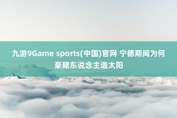 九游9Game sports(中国)官网 宁德期间为何豪赌东说念主造太阳
